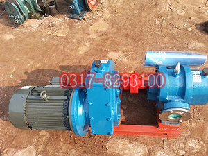 LC型<a href='/default.html'>罗茨泵</a>